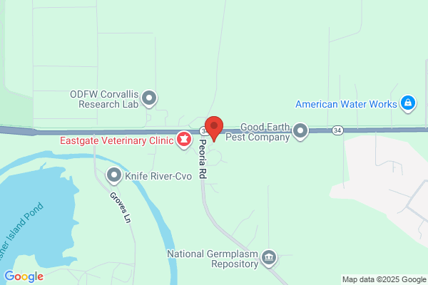 Corvallis Auto Electric