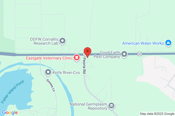 Corvallis Market