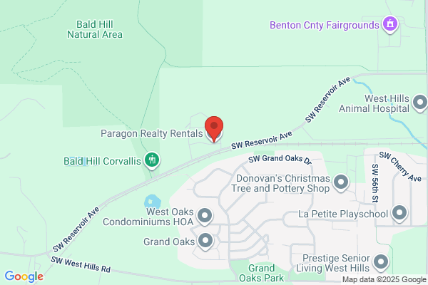 Paragon Realty Rentals