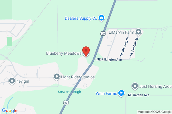 Blueberry Meadows