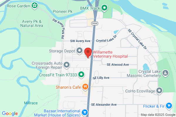 Animal Emergency & Critical Care Center