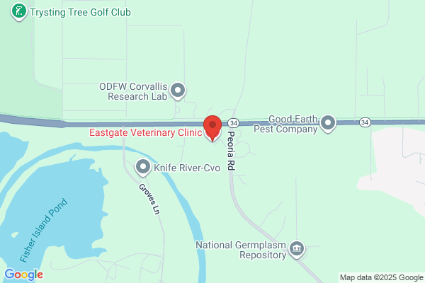 Eastgate Veterinary Clinic