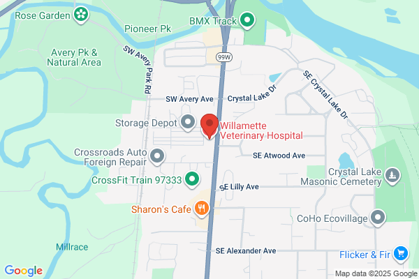 Willamette Veterinary Hospital