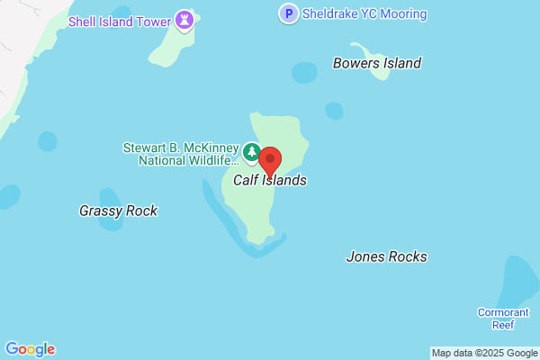 Calf Island Task Force