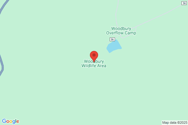 Woodbury Outfitters