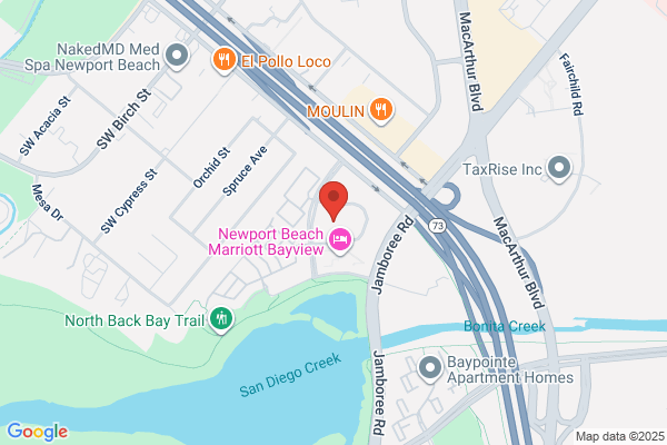 Bayview Auto Detail & Tint