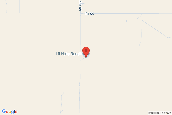 Lil Burrhead Ranch