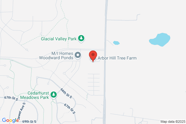 Arbor Hill Tree Farm