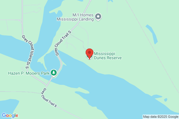 Mississippi Dunes