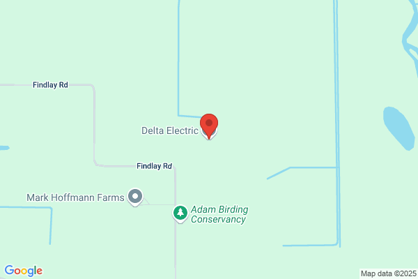 Delta Electric