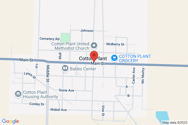 City of Cotton Plant