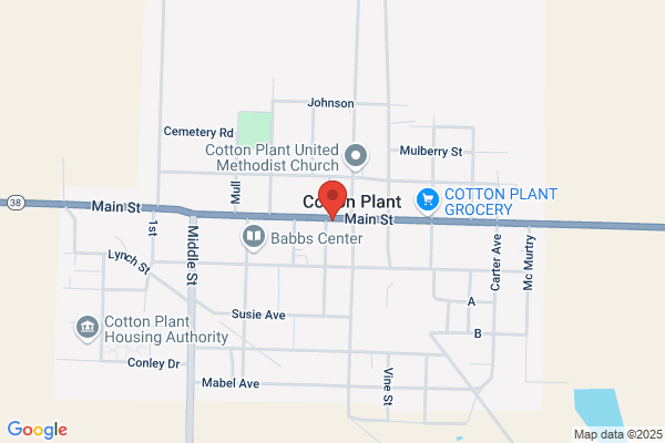 Cotton Plant City of, Police Dept