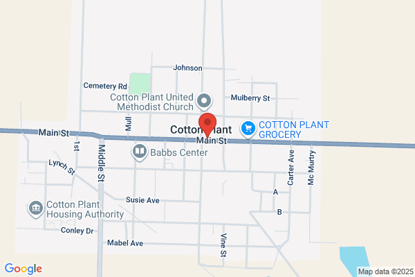 Cotton Plant Water Department