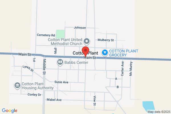 Woodruff County Library, Cotton Plant Branch