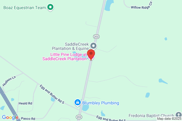 Tall Pines Bed & Breakfast