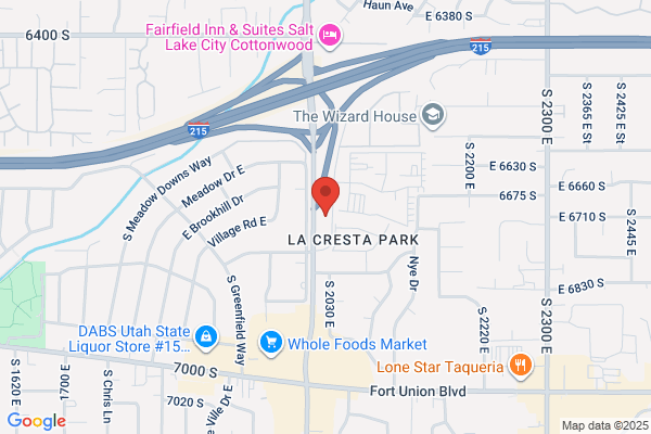 Vincent Surgical Arts & Medspa