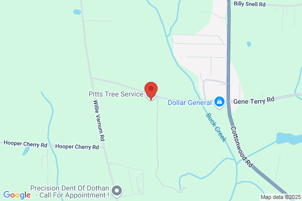 Pitts Tree Service