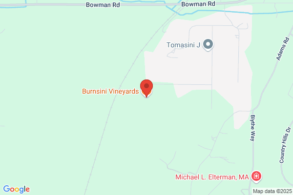 Burnsini Vineyards Llc