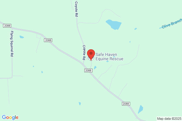 Safe Haven Horse Rescue