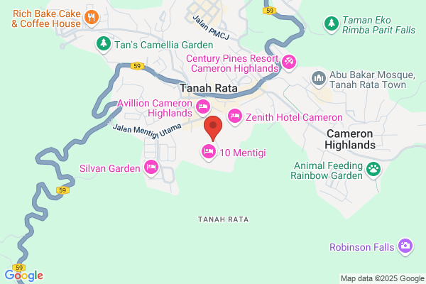 Cameron Travel