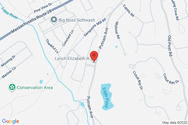 Lynch Elizabeth A Attorney