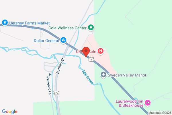 Best Buy Surplus Foods