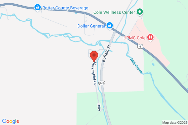 Potter County Department Emergency Services