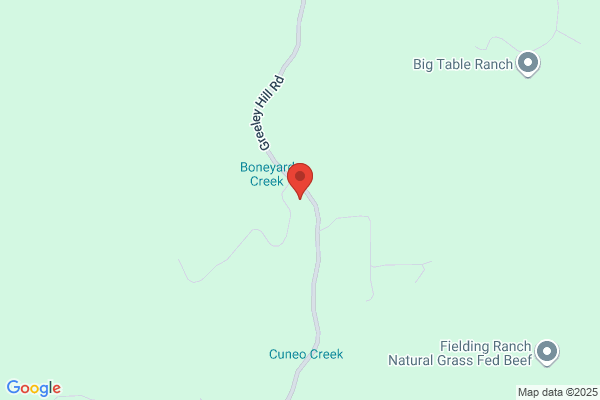 Boneyard Creek Mini Storage