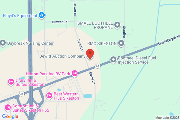 Dewitt Auction Service