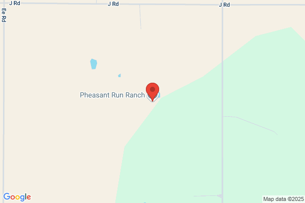 Pheasant Run Kennels