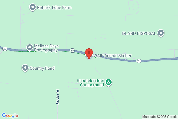 WAIF Animal Shelter