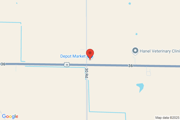 Depot Market Inc
