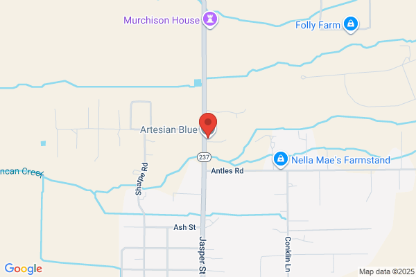 Artesian Blue Water