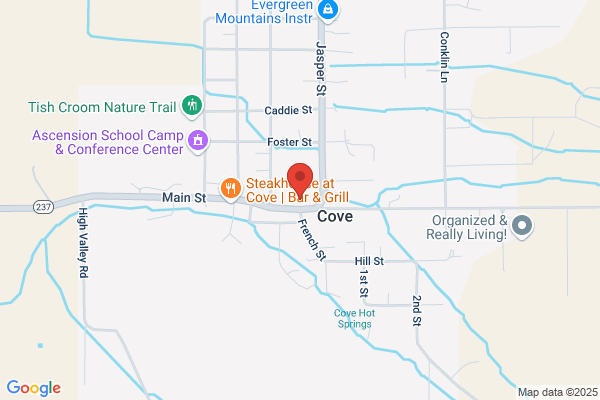 Cove School District 15, Cove Public School