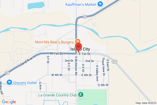 Oregon Wireless Inc