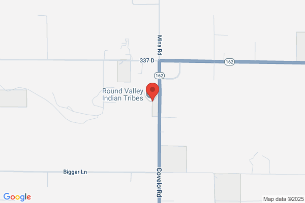 Indian Child Welfare
