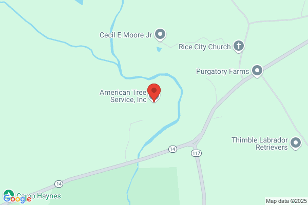 American Tree Service