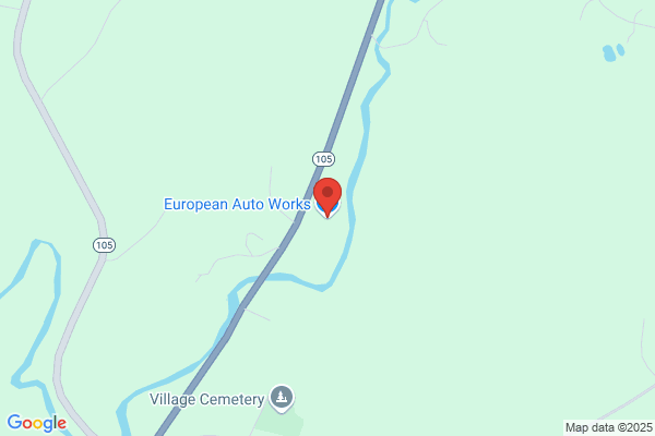 European Auto Works