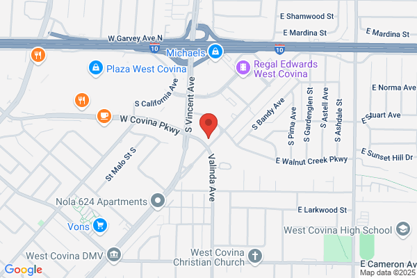 American Intelligent Surveillance