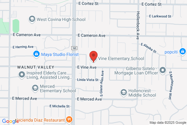 Vine Residence LLC