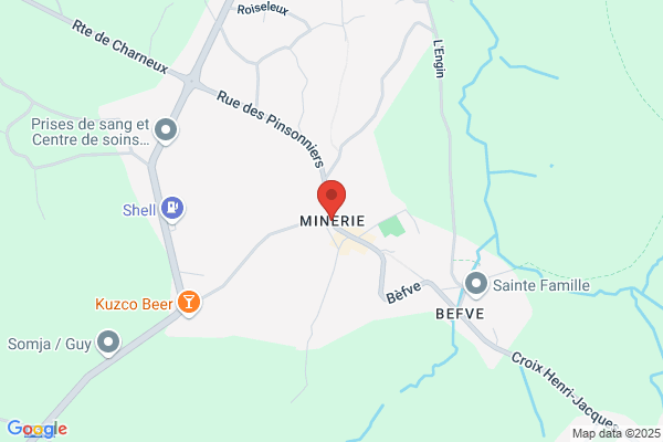 Miner Laraine