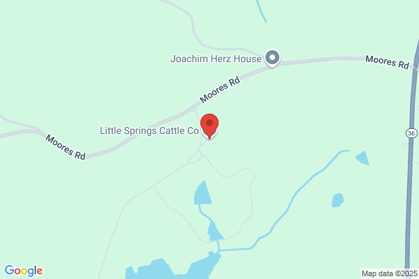 Little Springs Farm