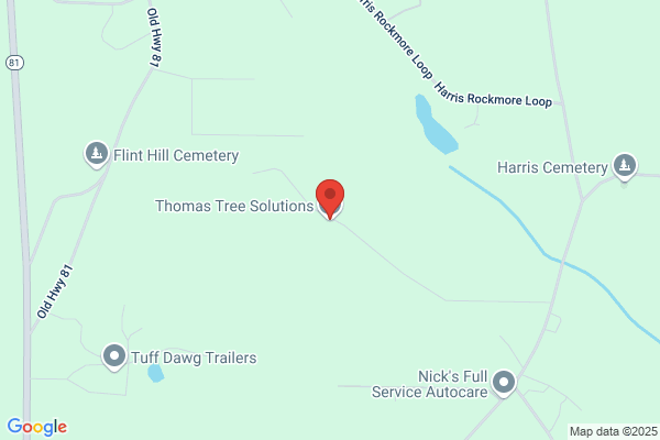 Thomas Tree Solutions
