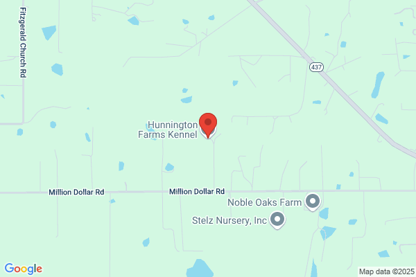 Hunnington Farms Kennel