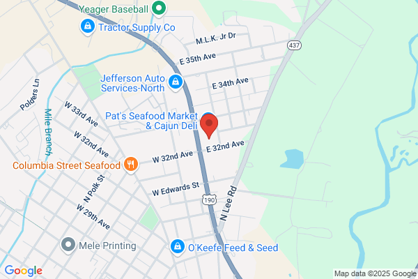 Advance Auto Parts