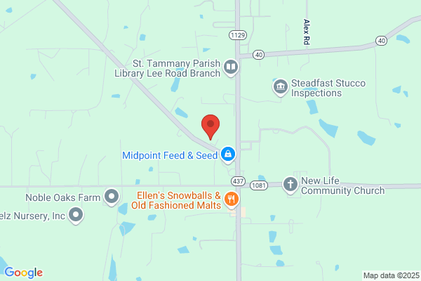 Lee Road Family Pharmacy Inc