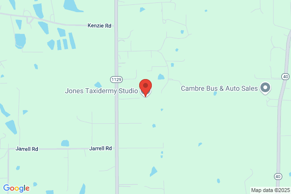 Jones Taxidermy Studio