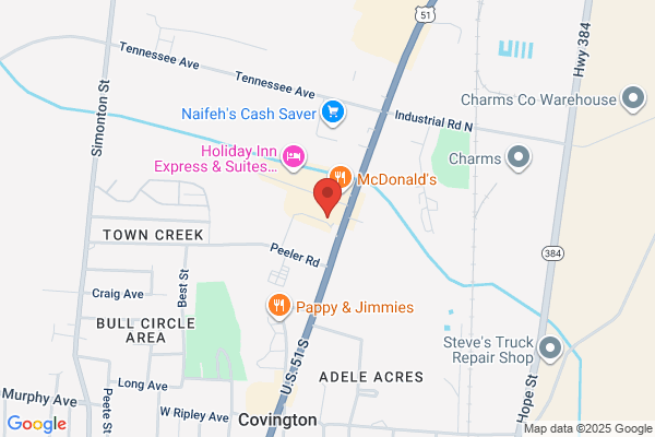 Volunteer Check Express Llc