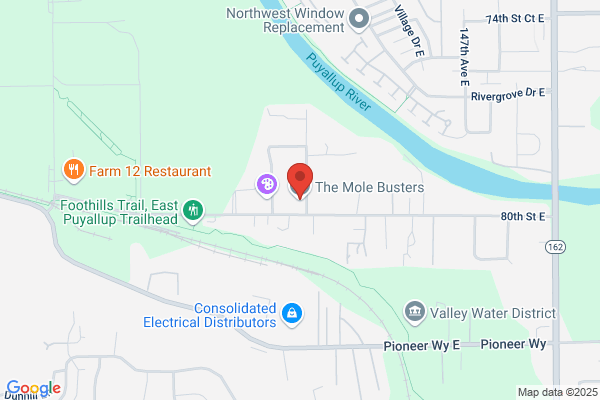 Mole Busters Northwest