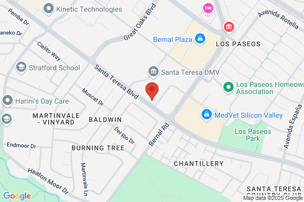 Bolsa Analytical